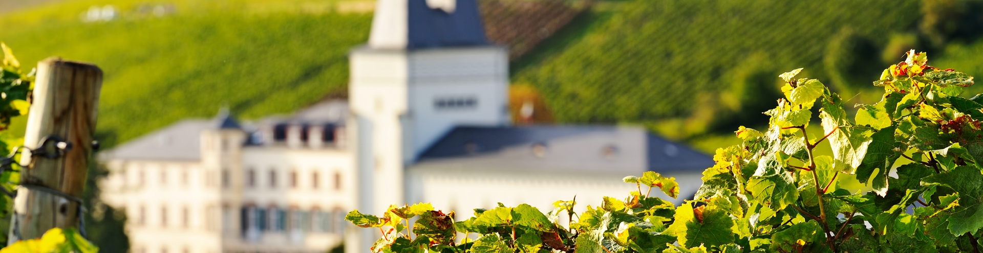 Home Banner 1