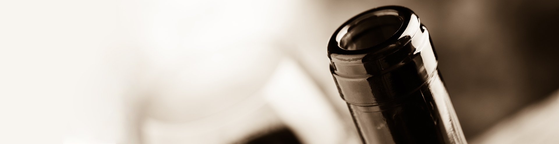 Home Banner 4
