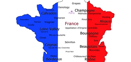 Wine Knowledge