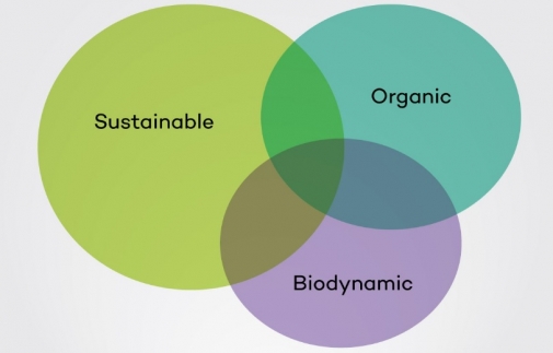 The Most Sustainable Wineries in the United States