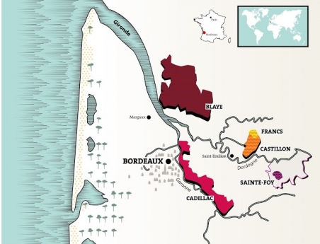 Why Côtes de Bordeaux Should be Your Go-To French Wine
