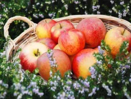 How calvados, the apple brandy from France, found its ardent followers