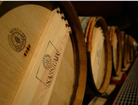 Wine Star: Priscilla Incisa della Rocchetta