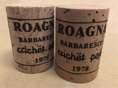 Nebbiolo — A Guide to the Basics