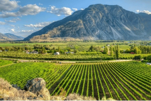Similkameen Valley: Mountains & Vines