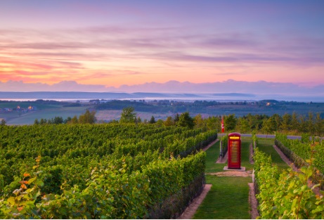Exploring the Oldest Wine Region in Canada 