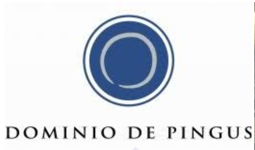 Dominio de Pingus